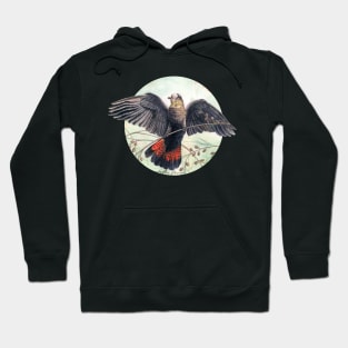 Glossy Black Cockatoo art by Nadya Neklioudova Hoodie